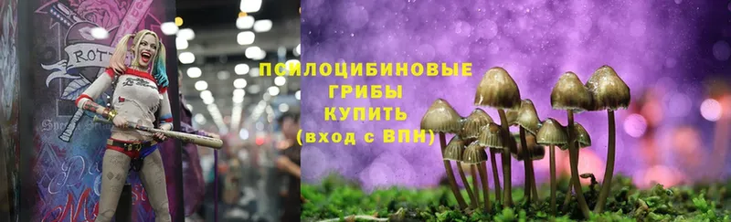 Галлюциногенные грибы Magic Shrooms  что такое наркотик  Глазов 